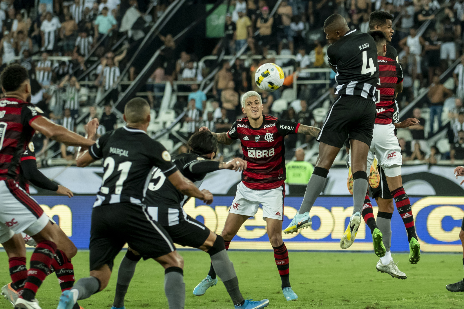 Brasileirão: Flamengo derruba 100% do líder Botafogo no Nilton Santos -  Placar - O futebol sem barreiras para você